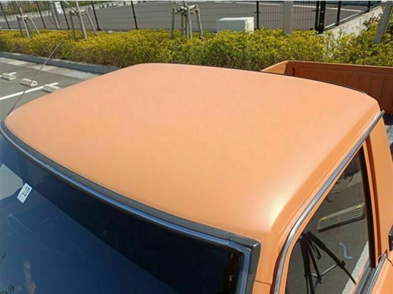 SUNNY TRUCK