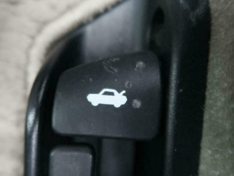 BELTA