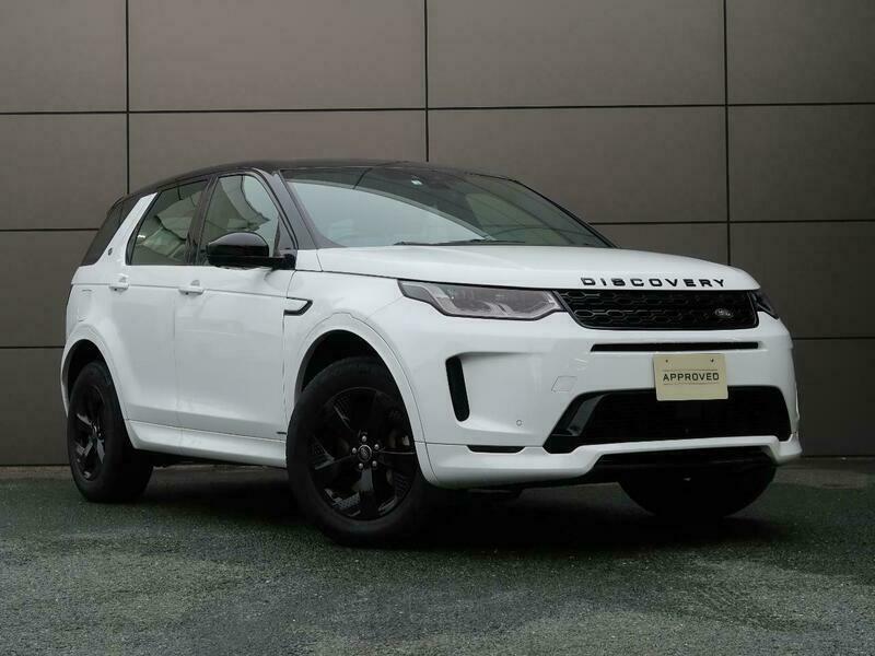 DISCOVERY SPORT-31