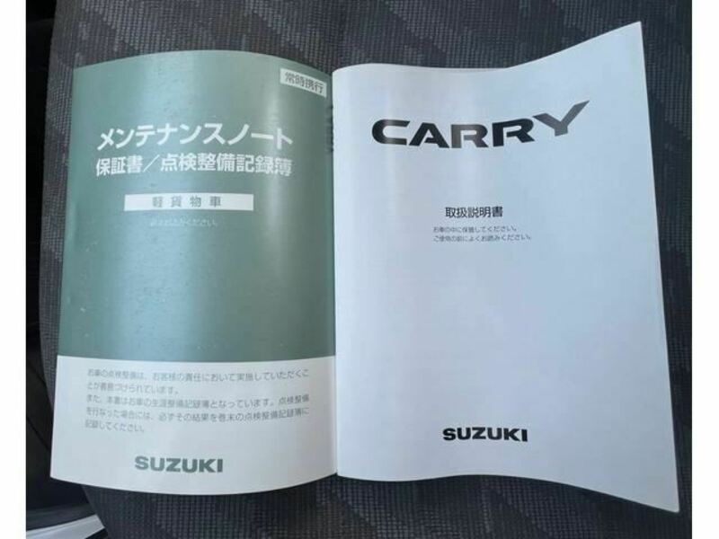 CARRY TRUCK