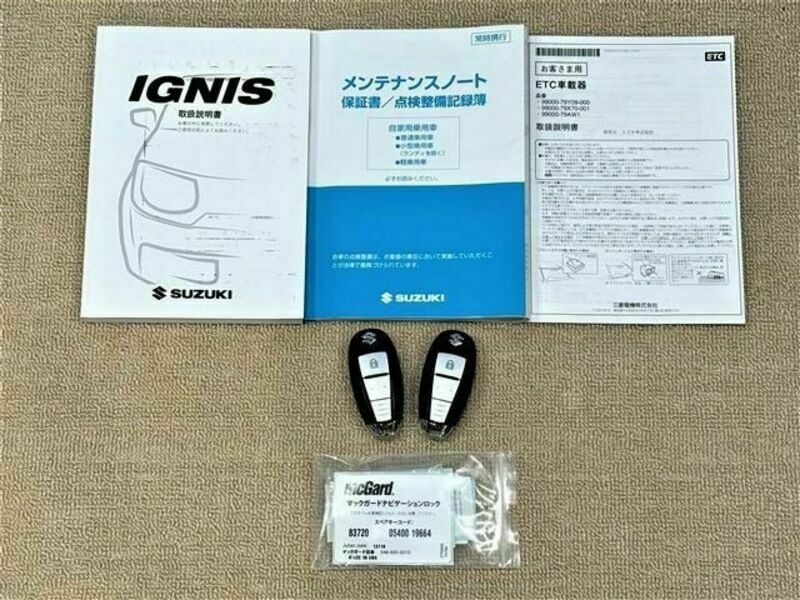 IGNIS-18