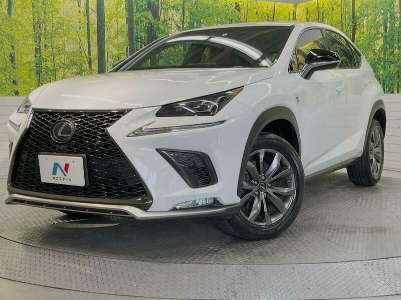 LEXUS NX