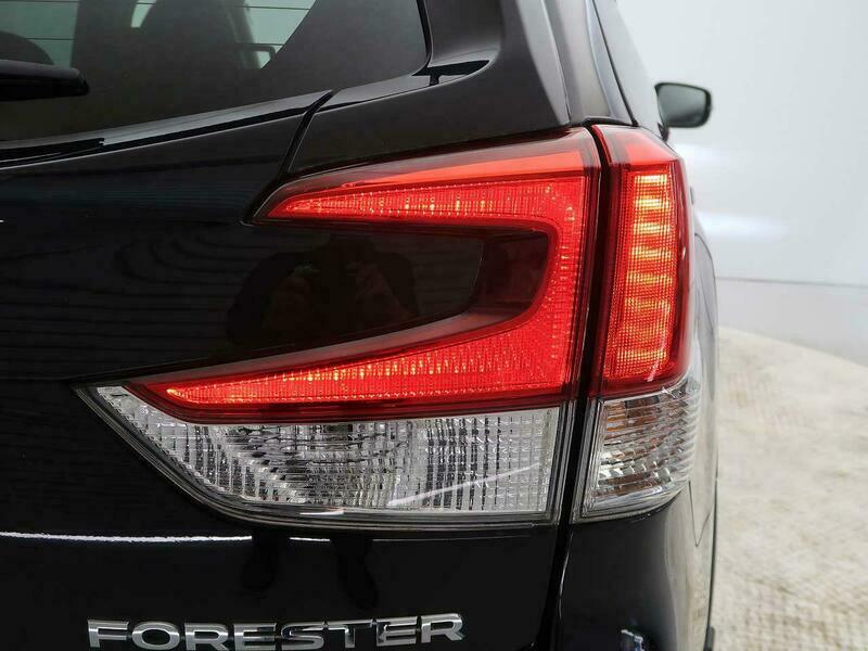 FORESTER-28