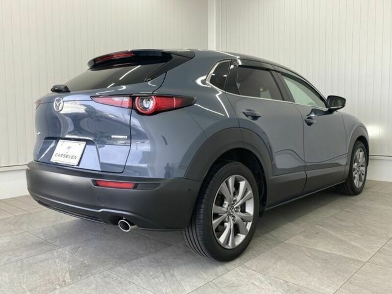 CX-30-2