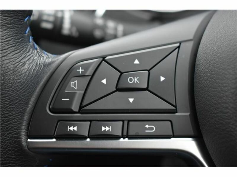 X-TRAIL-12