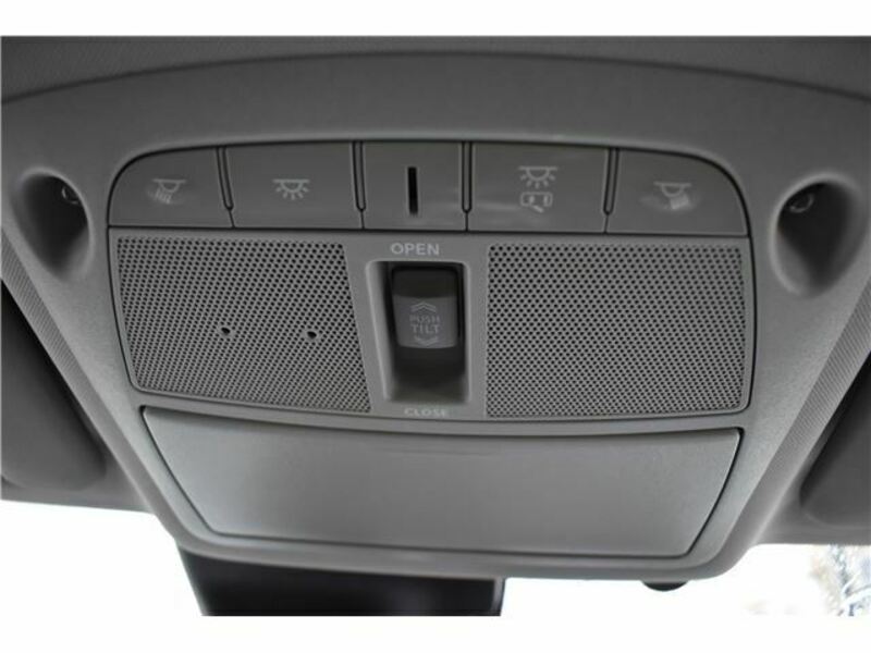 X-TRAIL-24