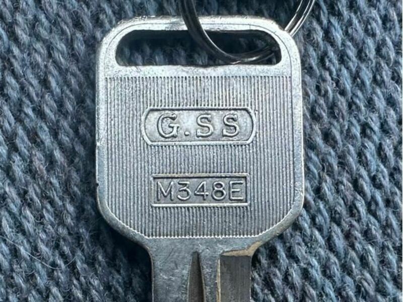 GEMINI