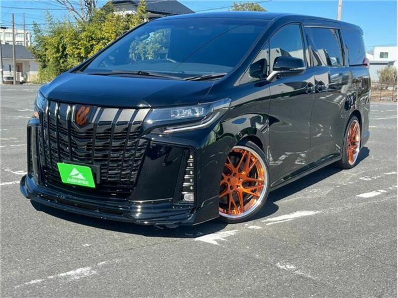 ALPHARD-31