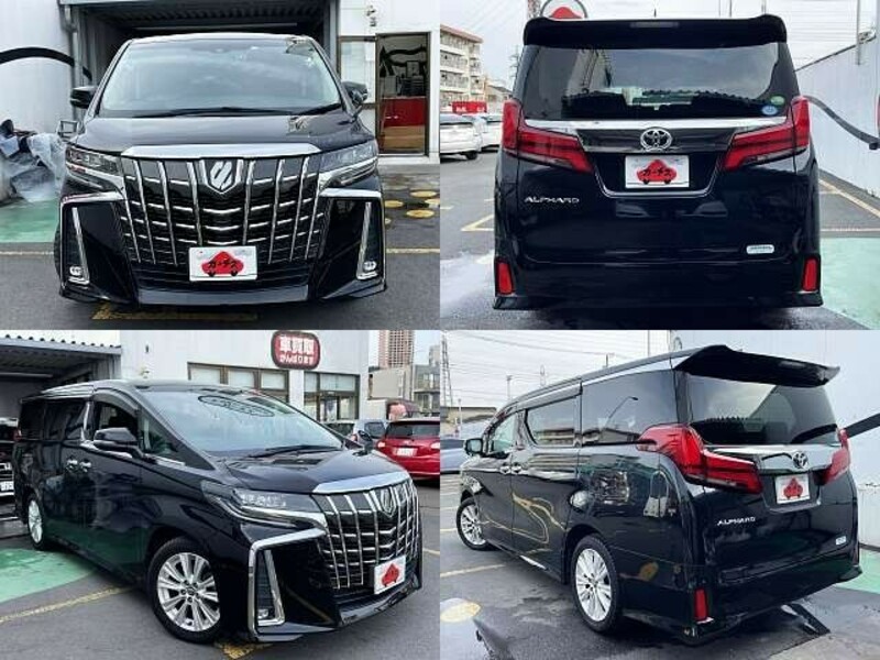 ALPHARD-8