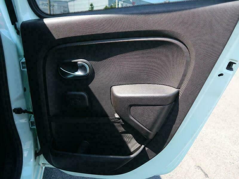 TWINGO-29