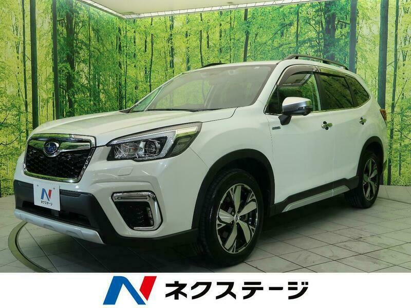 FORESTER-82