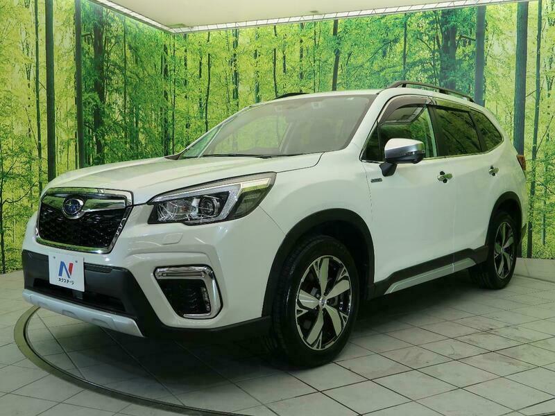 FORESTER-43