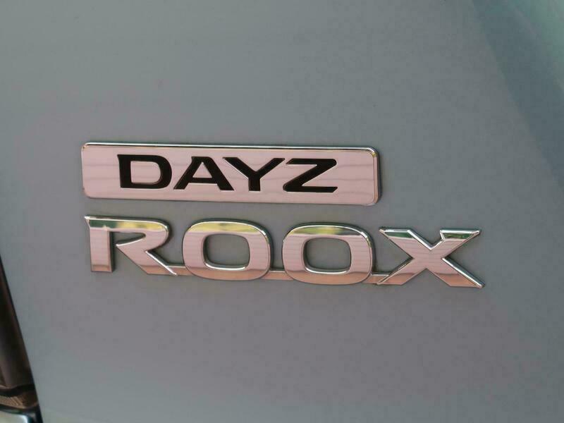 DAYZ ROOX-66