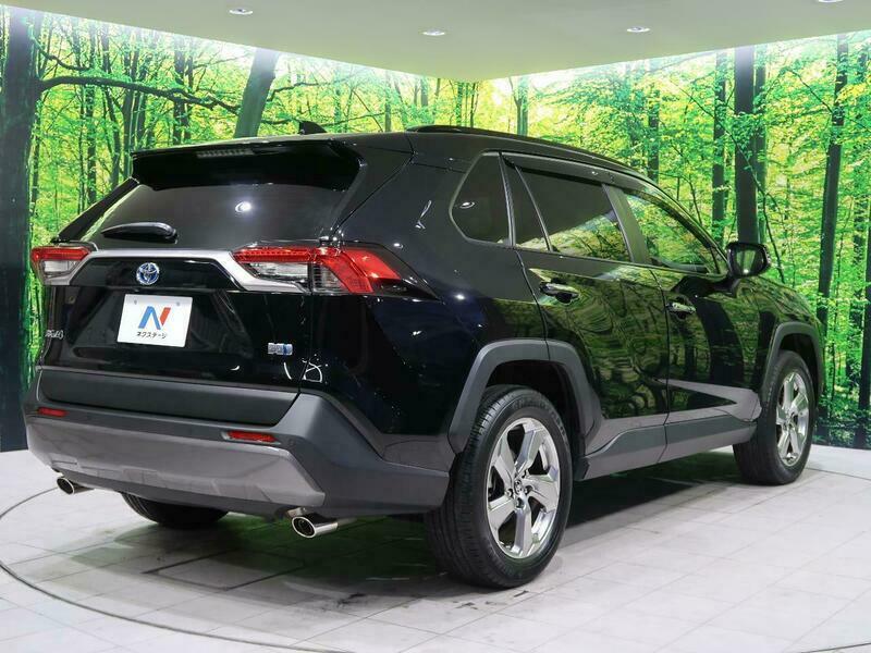 RAV4-48