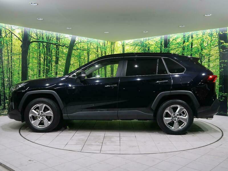 RAV4-34