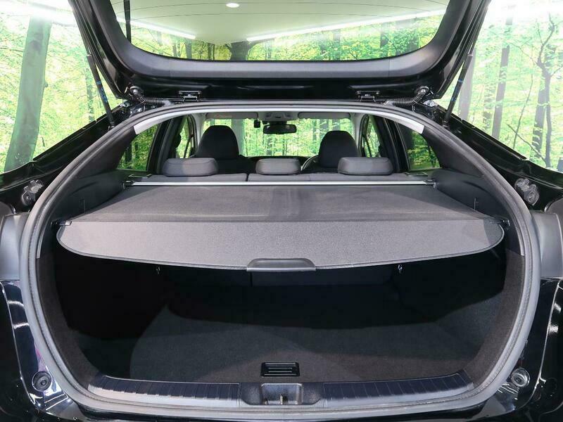 PRIUS-31