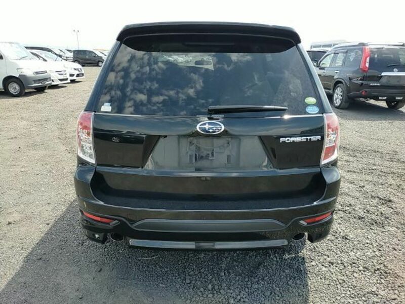 FORESTER-1