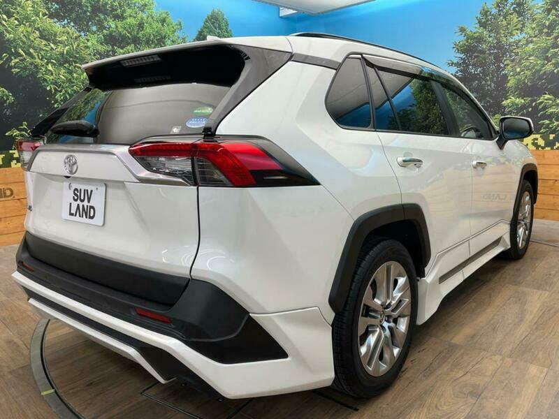 RAV4-10