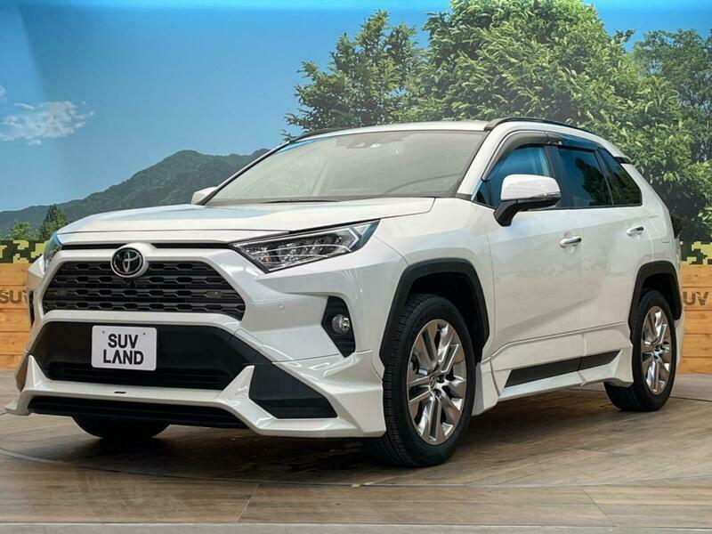 RAV4-19