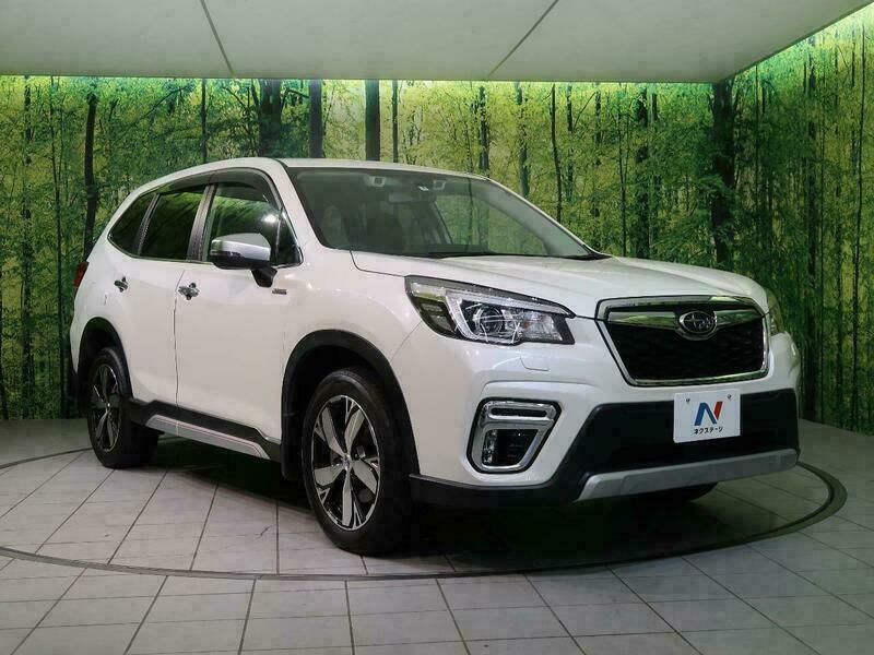 FORESTER-39