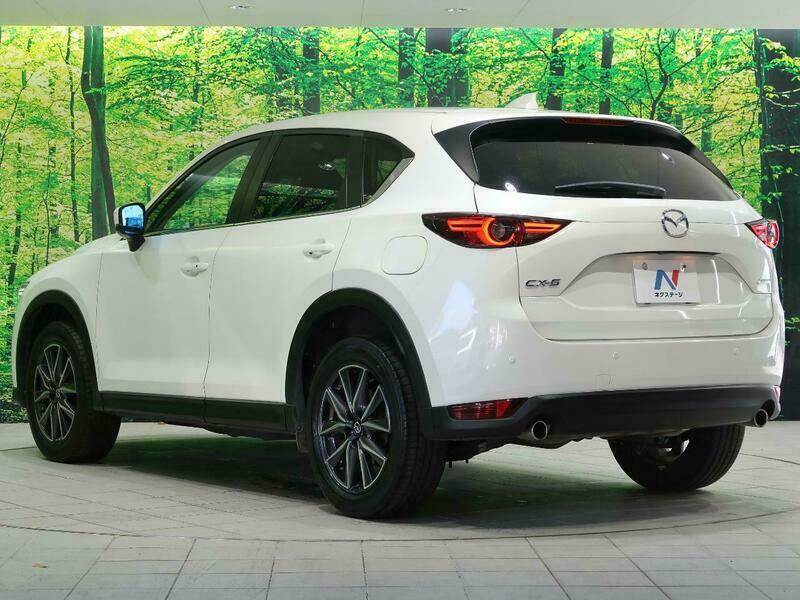 CX-5-31