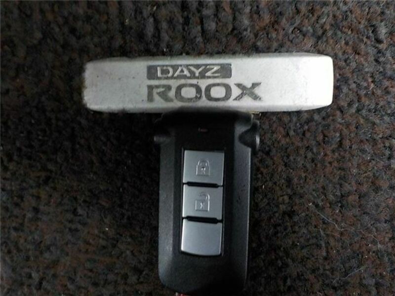 DAYZ ROOX-25