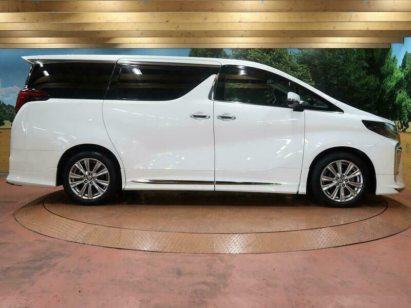 ALPHARD-31