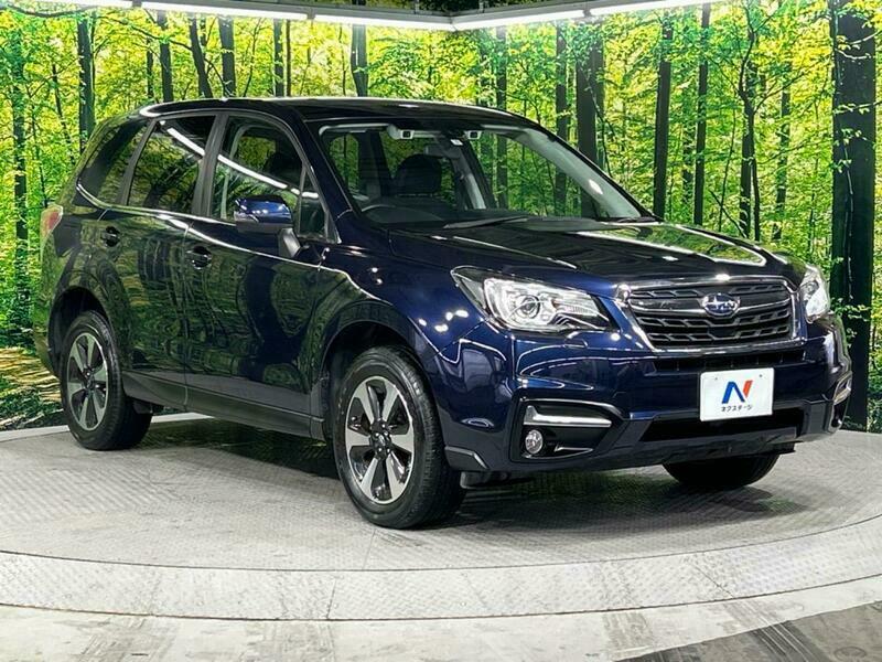 FORESTER-25