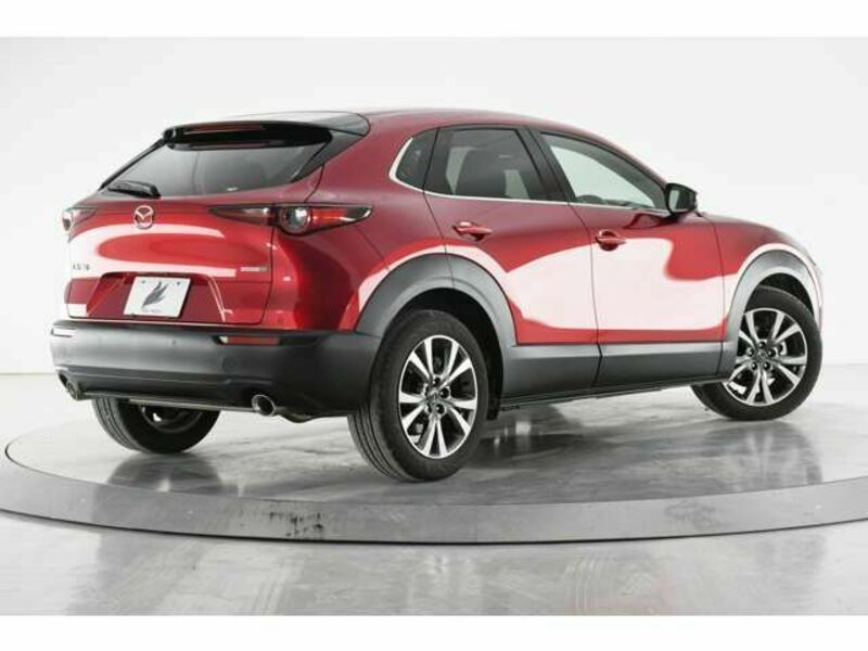 CX-30-1