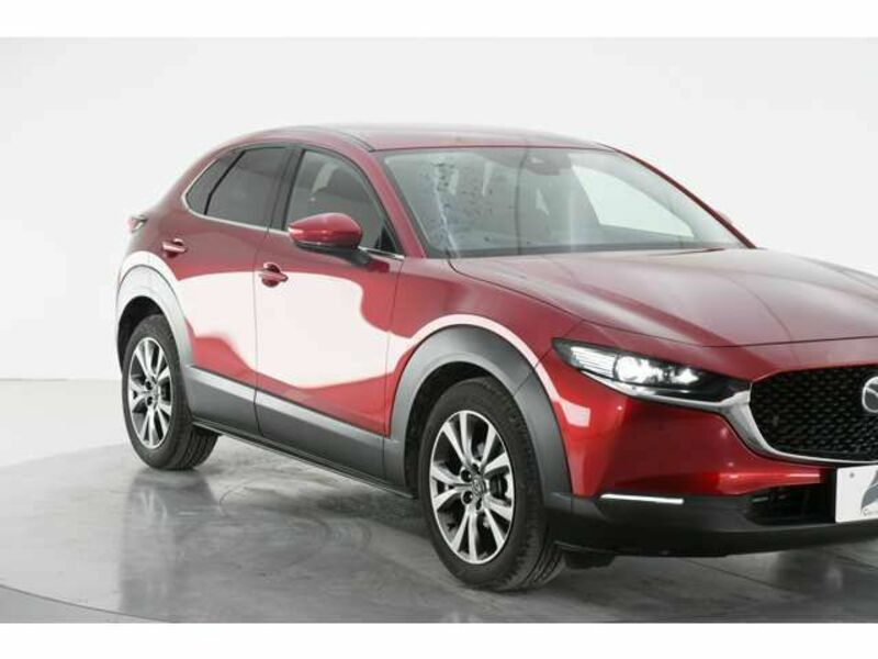 CX-30-4