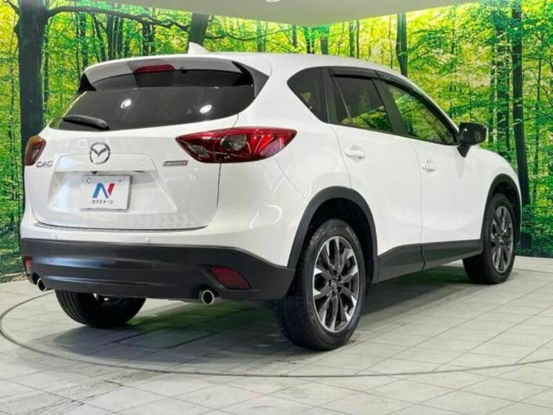 CX-5-17