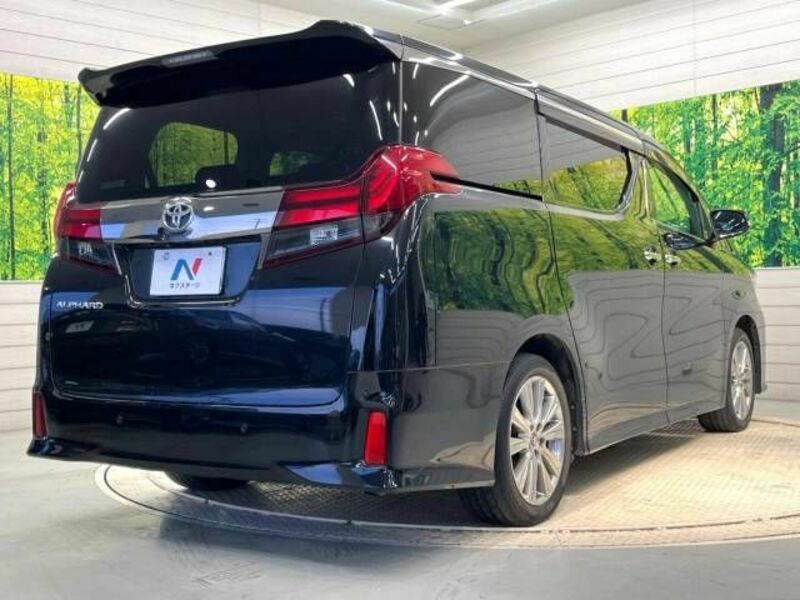 ALPHARD-18