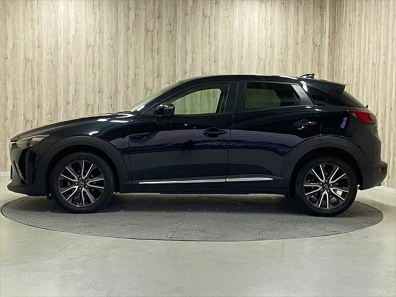 CX-3-6