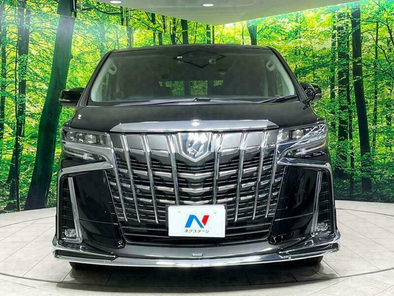 ALPHARD-23