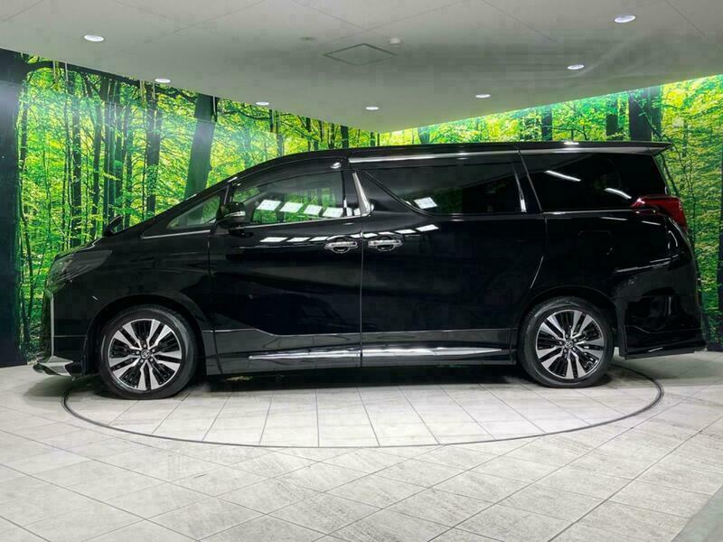 ALPHARD-6