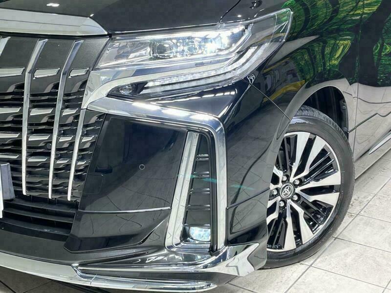 ALPHARD-18