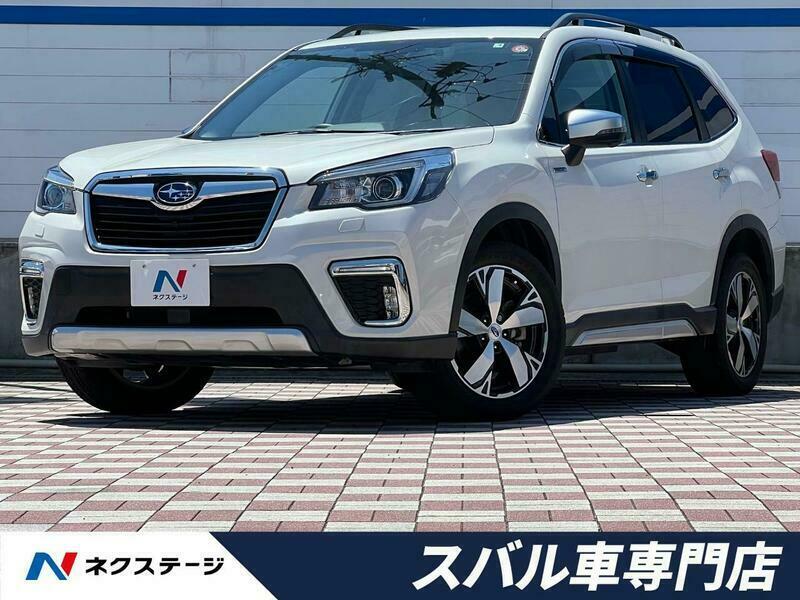 FORESTER-17