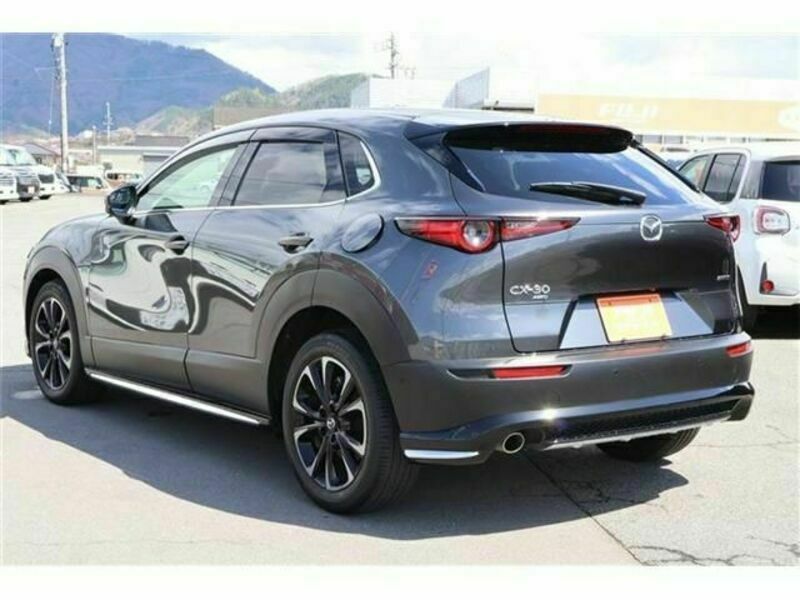 CX-30-1