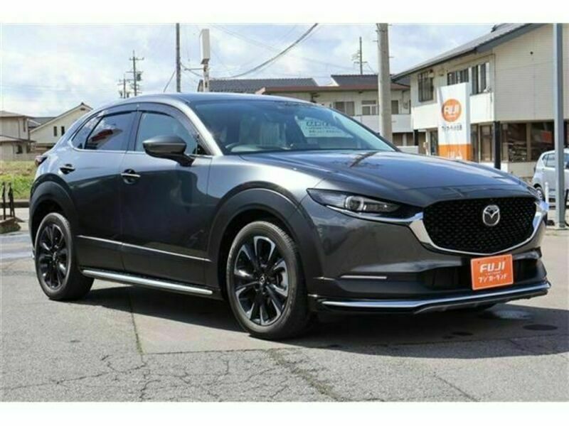 CX-30-2