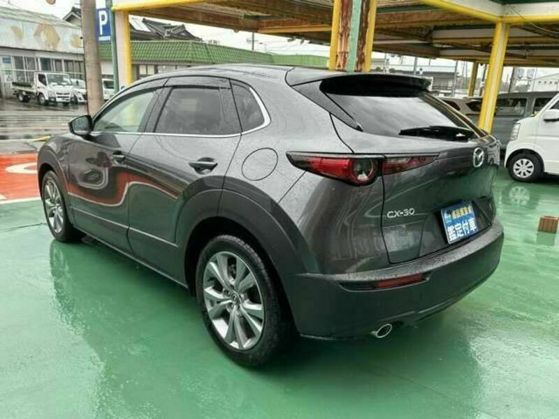 CX-30-1