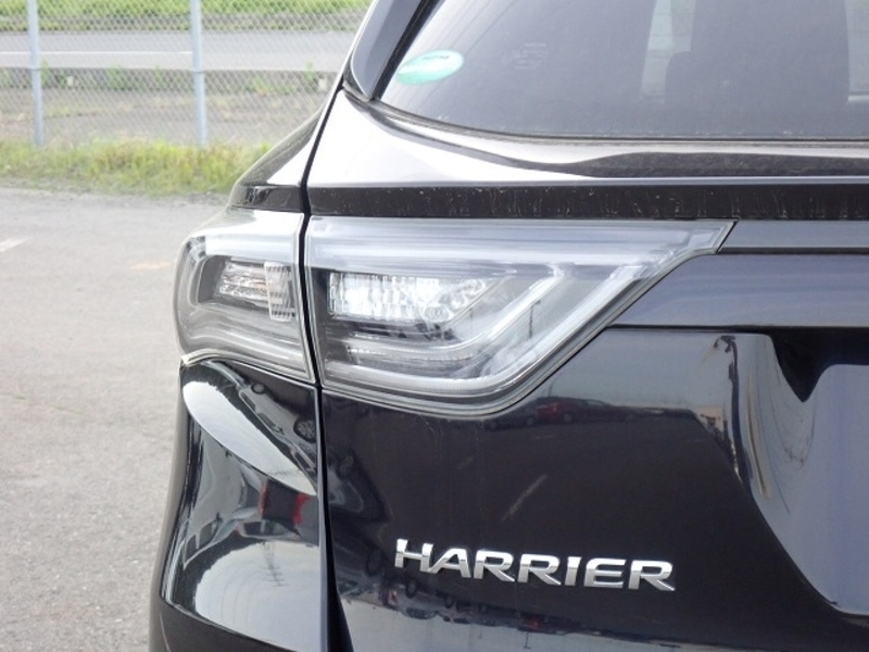 HARRIER-33