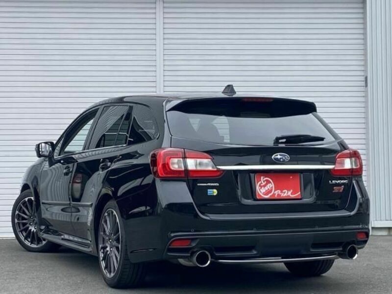 LEVORG