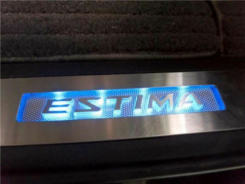 ESTIMA-22