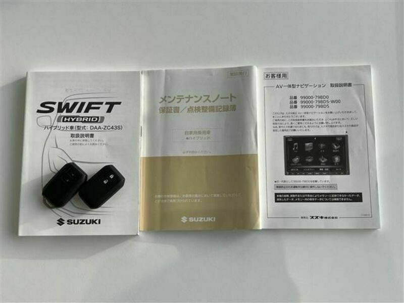 SWIFT-19