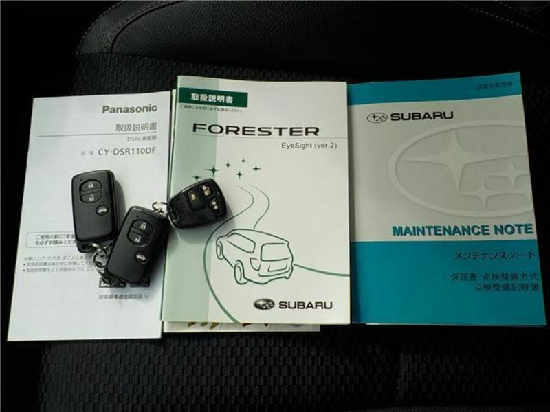 FORESTER-24