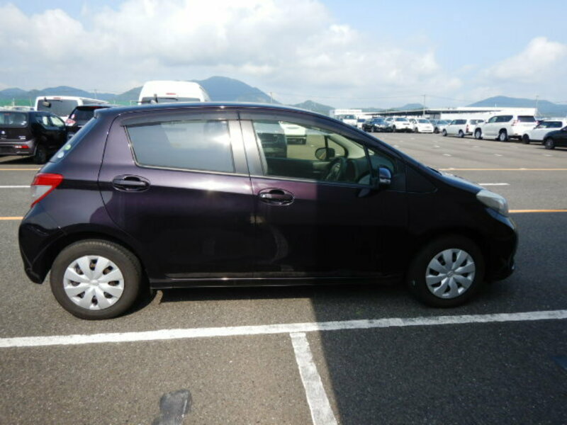 VITZ-3