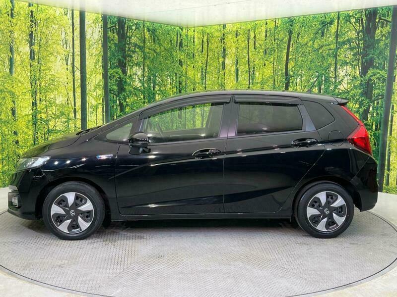 FIT HYBRID