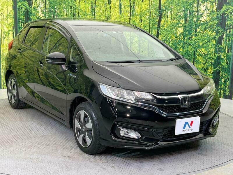 FIT HYBRID