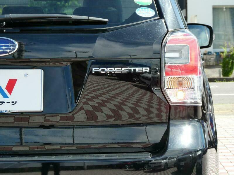 FORESTER