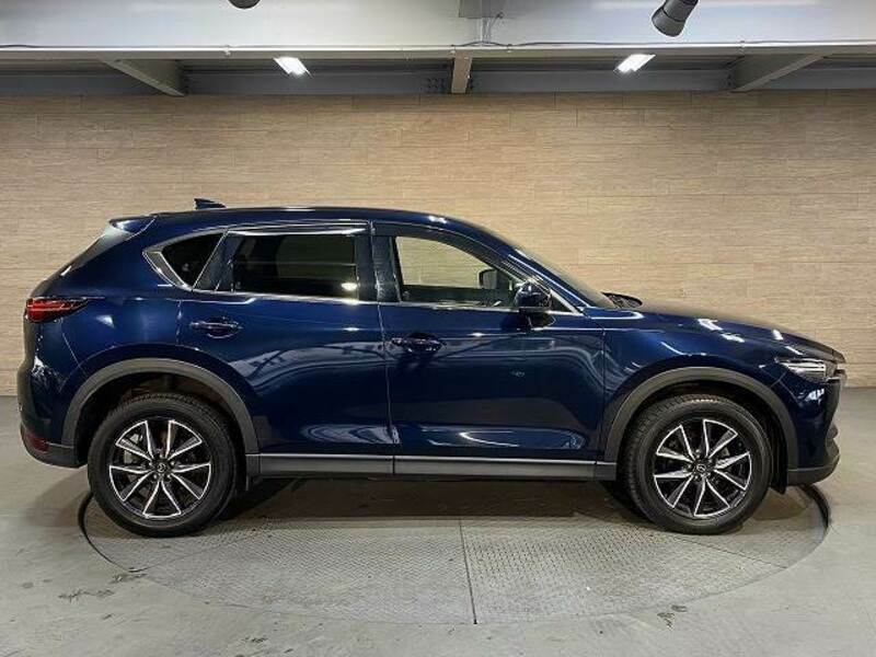 CX-5-19